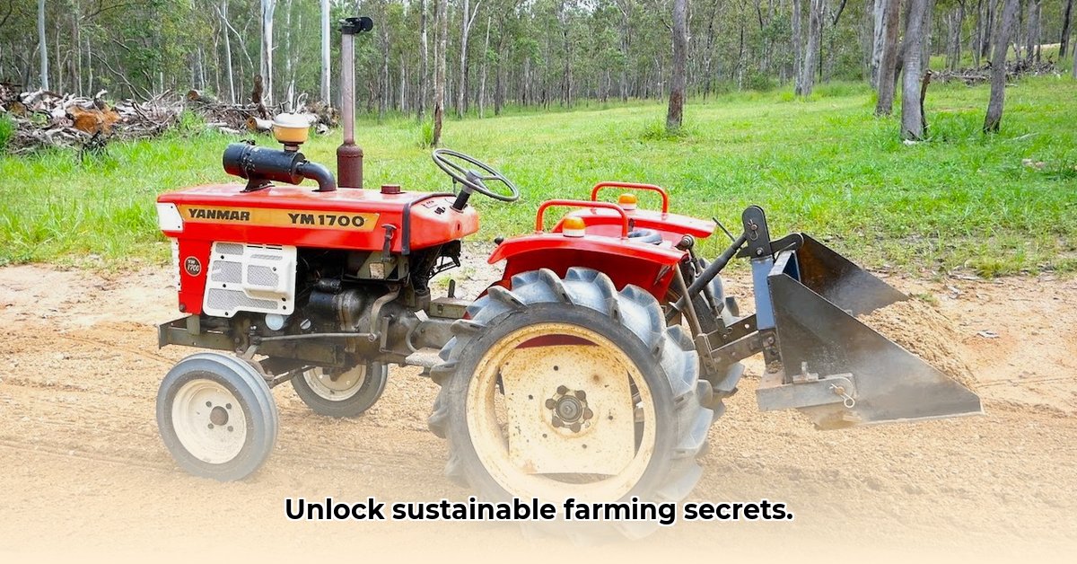 old-yanmar-tractor